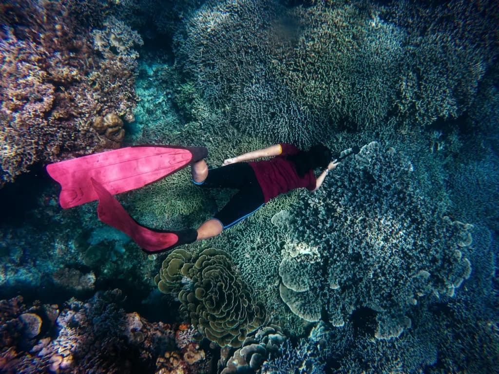 Mengenal Snorkeling, Persiapan, dan Spot Terbaik yang Wajib Dikunjungi!